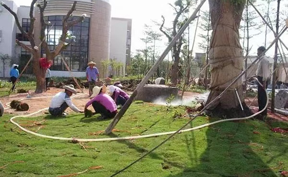 园林绿化建设工程